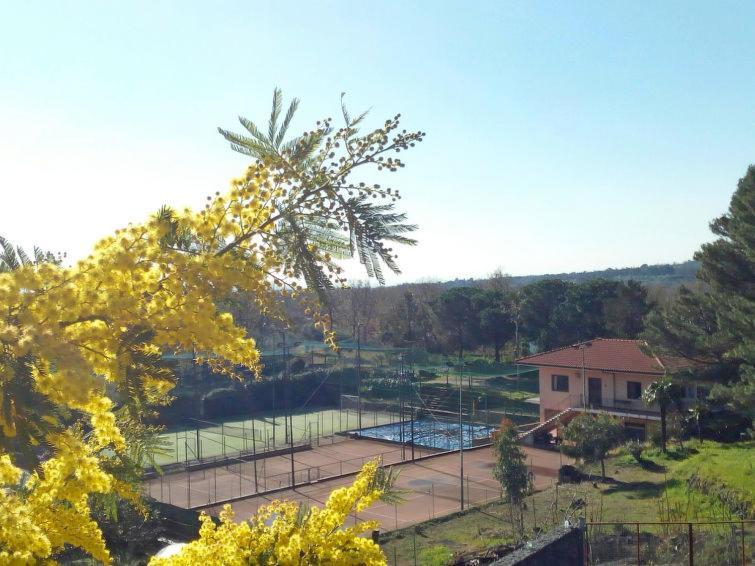 Villa Mimosa ザッフェラーナ・エトネーア エクステリア 写真